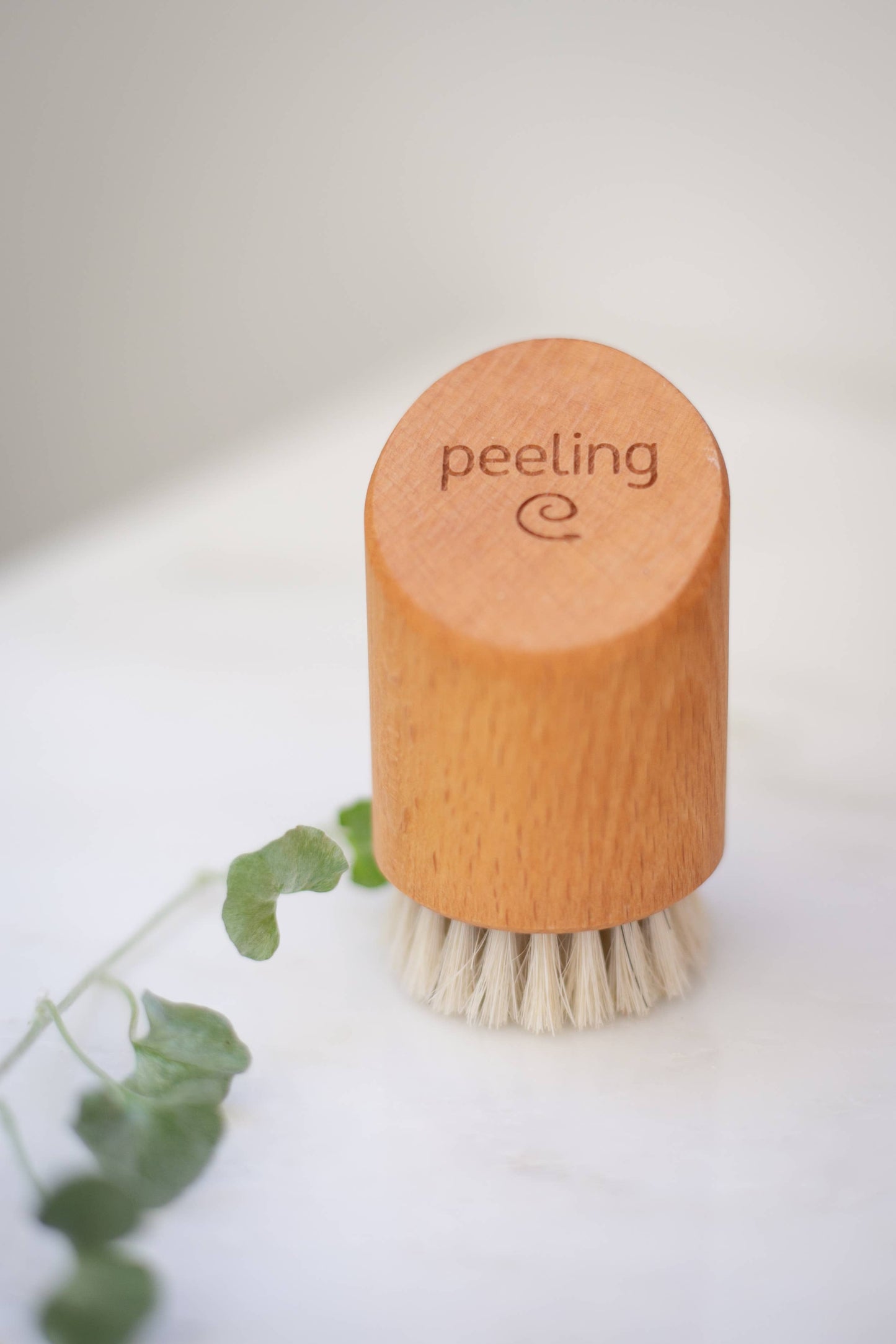 Croll & Denecke - Face brush, dry wood for exfoliating natural eco spa