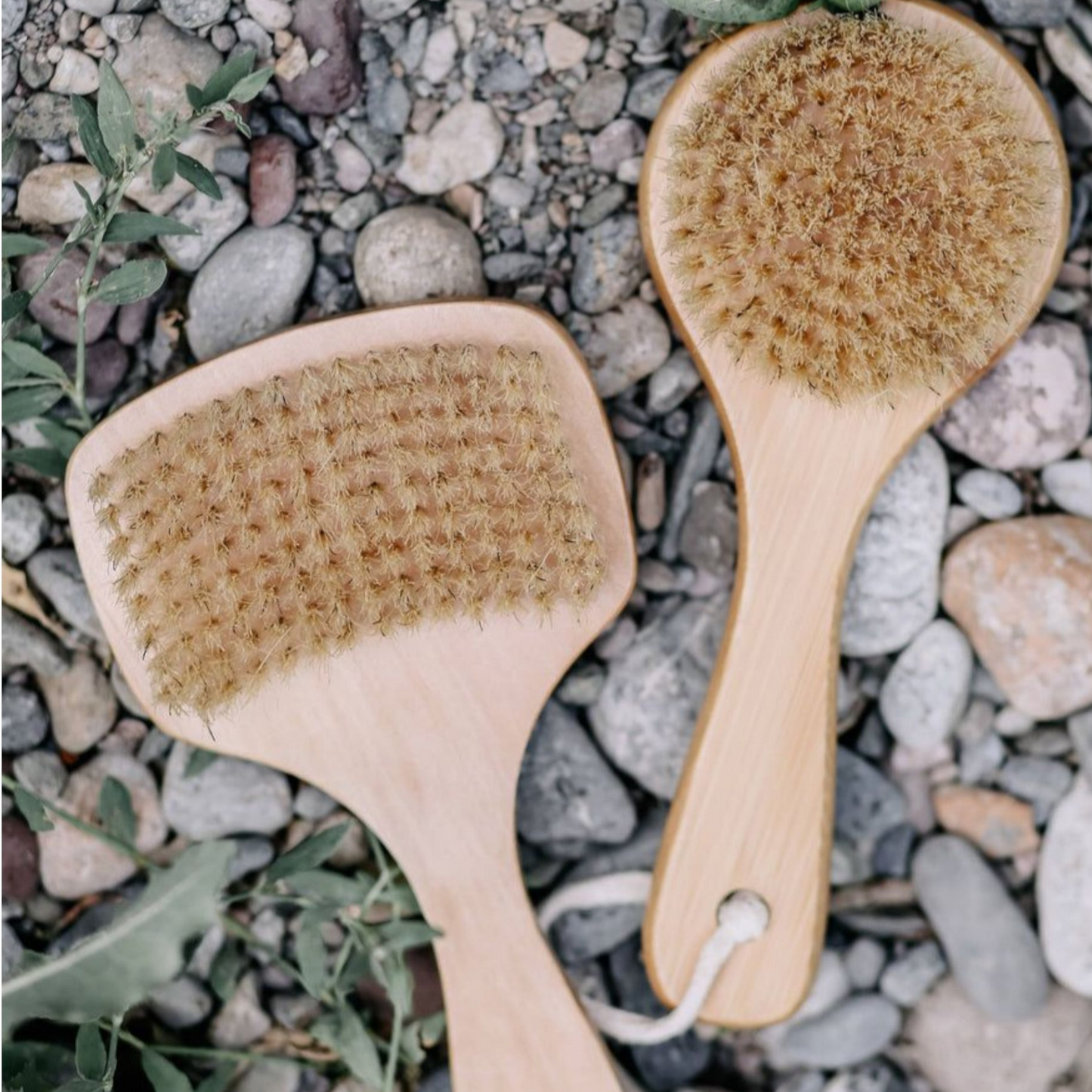 Two Bath brushes from above on loose stone background