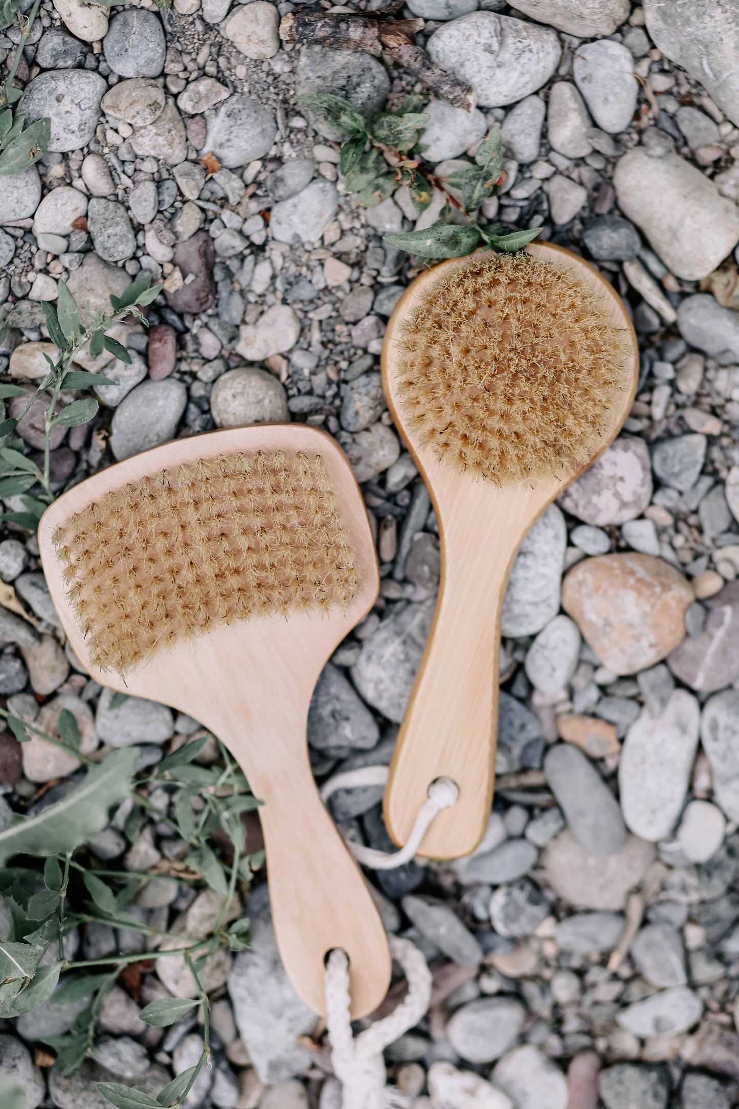 Paddle-Brush Bath Brush with Natural Bristles Croll & Denecke - Wooden body brush with short handle, dry brush shower bath wellness, Smaller Version